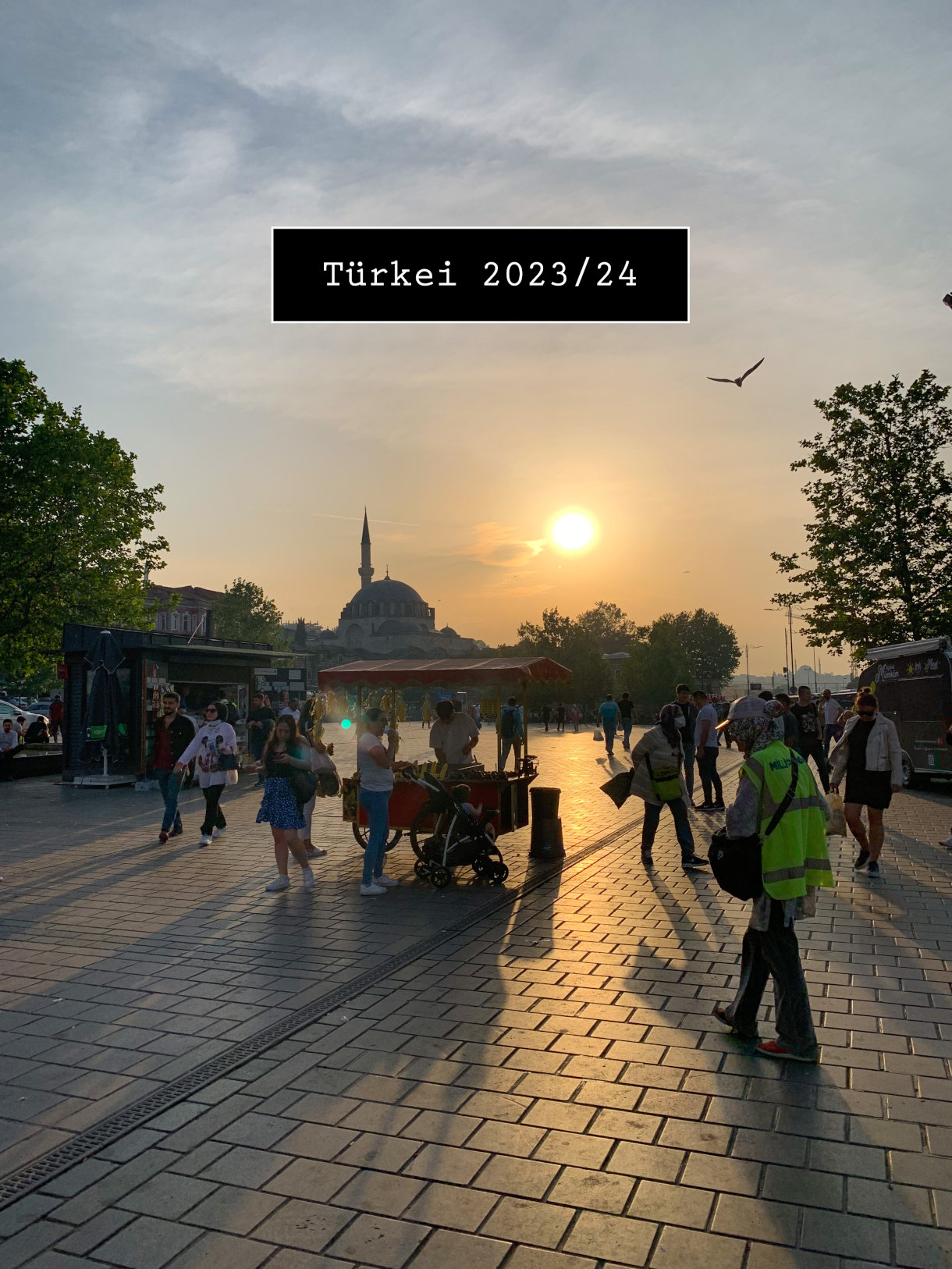 Türkei 2023/2024